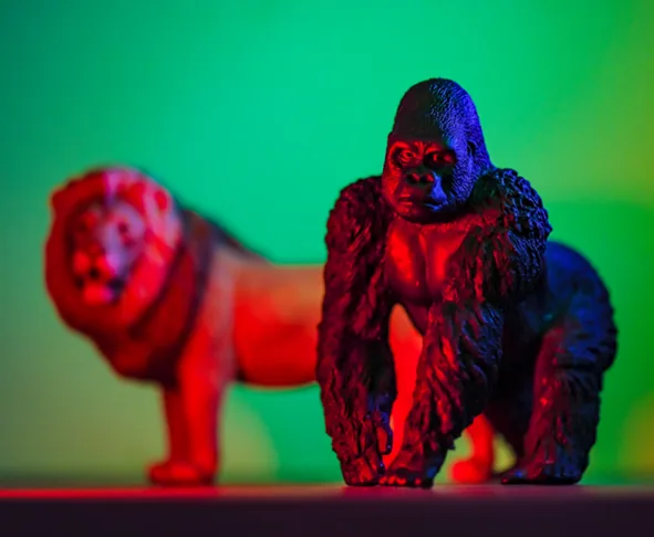 Figuras de gorila e leão - A força do planejamento tributário